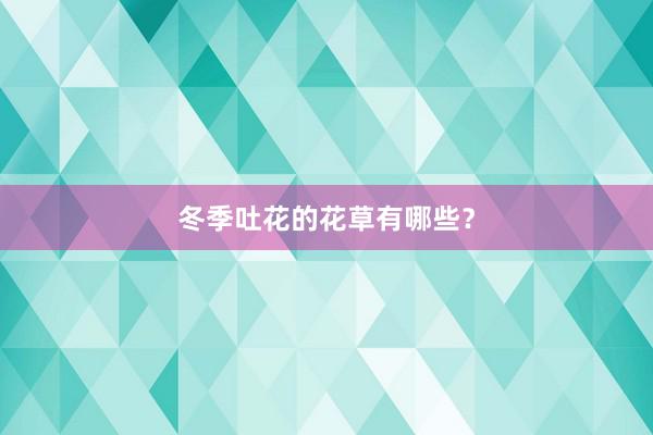 冬季吐花的花草有哪些？