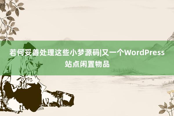 若何妥善处理这些小梦源码|又一个WordPress站点闲置物品