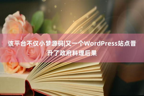 该平台不仅小梦源码|又一个WordPress站点晋升了政府料理后果
